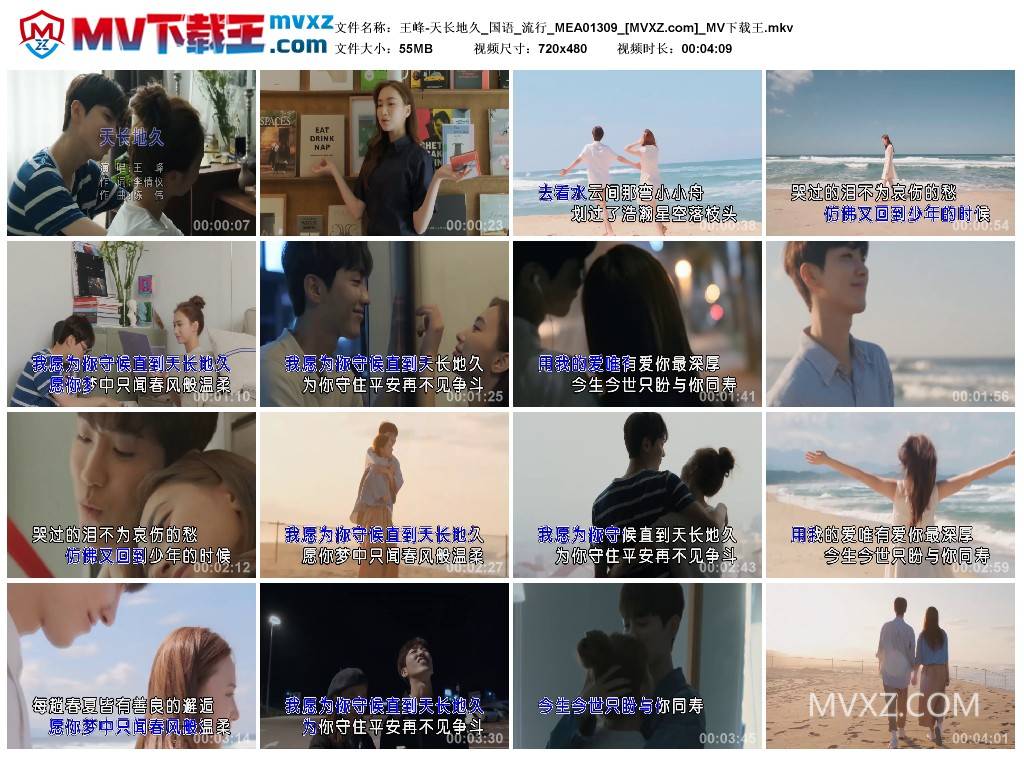 王峰-天长地久_国语_流行_MEA01309